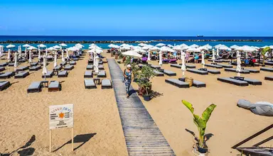 Venus Beach