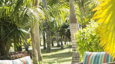 Veranda Palmar Beach