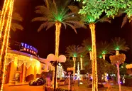 Verginia Sharm
