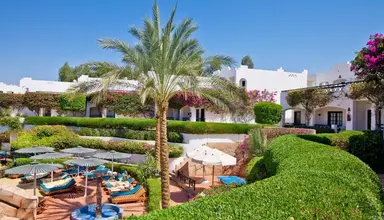 Verginia Sharm