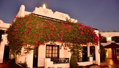 Verginia Sharm