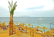 Verginia Sharm