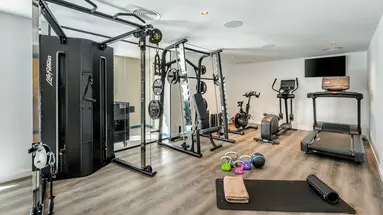Vibra Palma Cactus