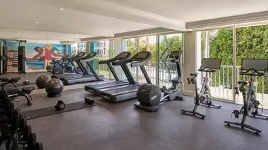 Viceroy (Santa Monica)