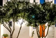 Vienoulas Garden