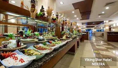Viking Star