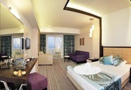 Vikingen Quality Resort & SPA