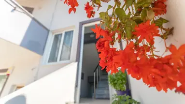 Vila Ari