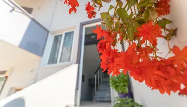 Vila Ari