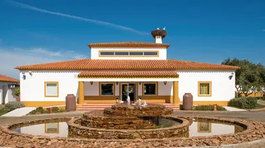 Vila Gale Alentejo Vineyards