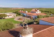 Vila Gale Alentejo Vineyards