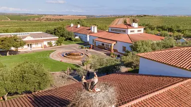 Vila Gale Alentejo Vineyards