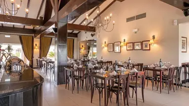 Vila Gale Alentejo Vineyards