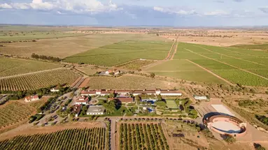 Vila Gale Alentejo Vineyards