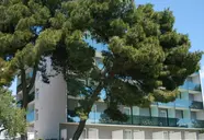 Villa Arausa