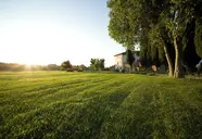 Villa Campestri Olive Oil Resort