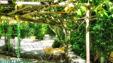 Villa Ciccio