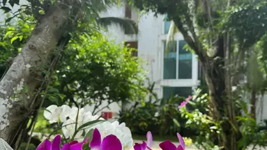 Villa Del Sol Beach