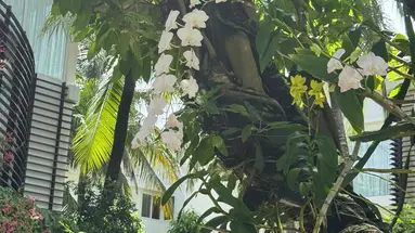 Villa Del Sol Beach