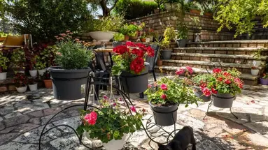 Villa Green Garden