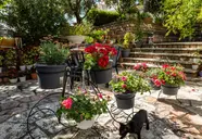 Villa Green Garden