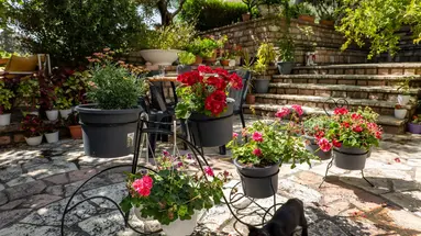 Villa Green Garden