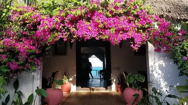 Villa Kiva