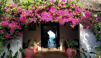 Villa Kiva
