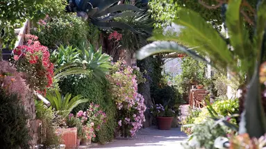 Villa Melodie