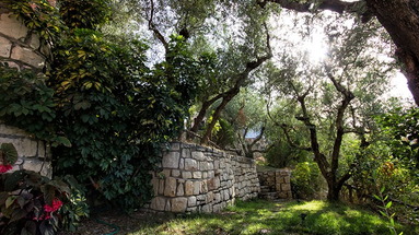 Villa Old Alykanas