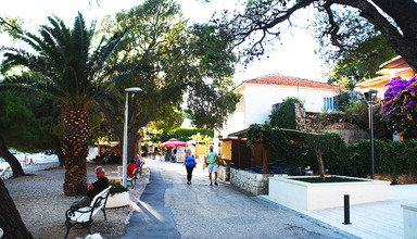 Villa Pansion Palme