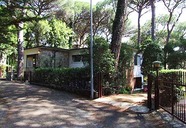 Villa Pineta