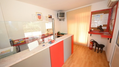 Villa Radic