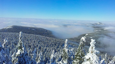 Villa Rosa - Domek Snowboardera