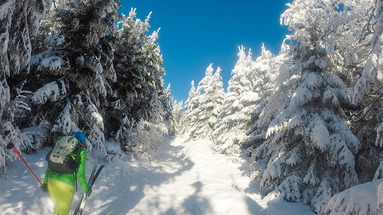 Villa Rosa - Domek Snowboardera