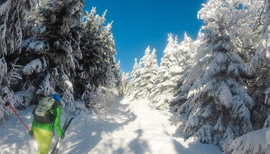 Villa Rosa - Domek Snowboardera