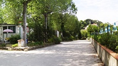 Village Paradise