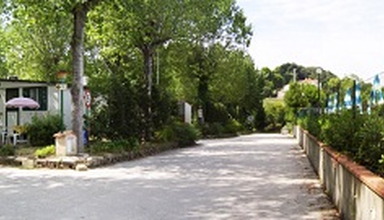 Village Paradise