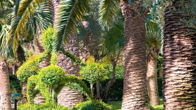 Villaggio Magic