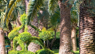 Villaggio Magic
