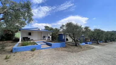 Villagio Green Garden
