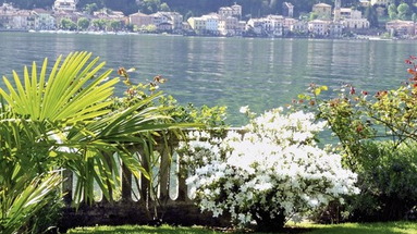 Ville Lago Lugano