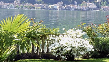 Ville Lago Lugano