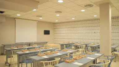 Vincci Lys