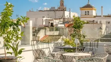 Vincci Molviedro