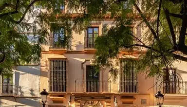 Vincci Molviedro