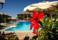 Virginia Family Resort