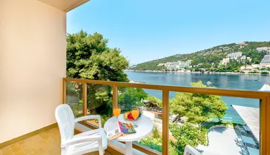 Vis