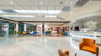 Vis