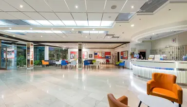 Vis